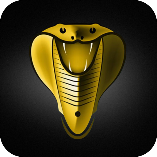 Cobra OTT logo